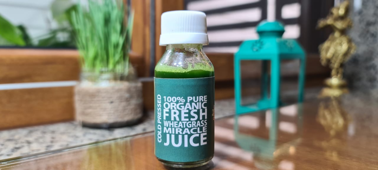 16165080281 Cold-pressed Organic Wheatgrass Juice.jpeg